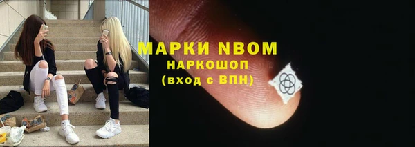 стаф Алексин