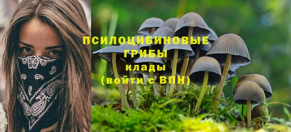 стаф Алексин