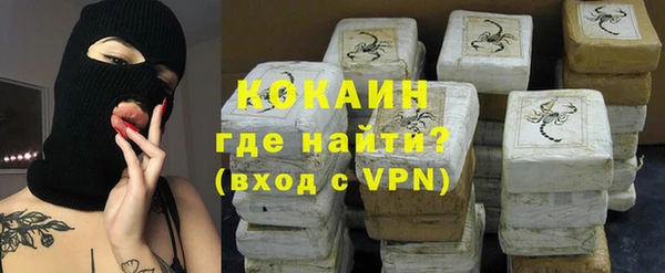 стаф Алексин