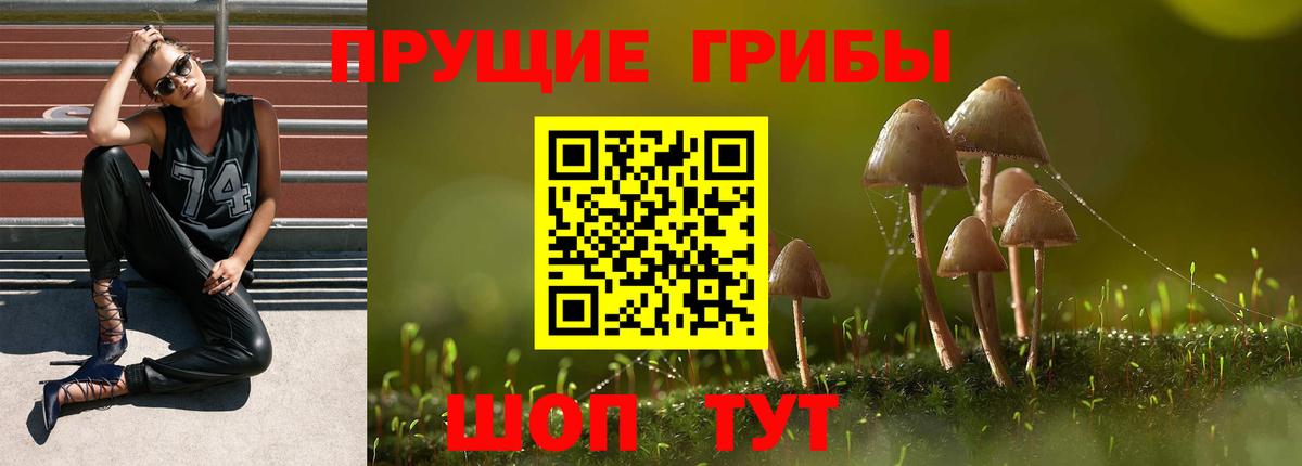 Нефтекамск  Галлюциногенные грибы MAGIC MUSHROOMS  купить наркотики цена  Вход с VPN 
